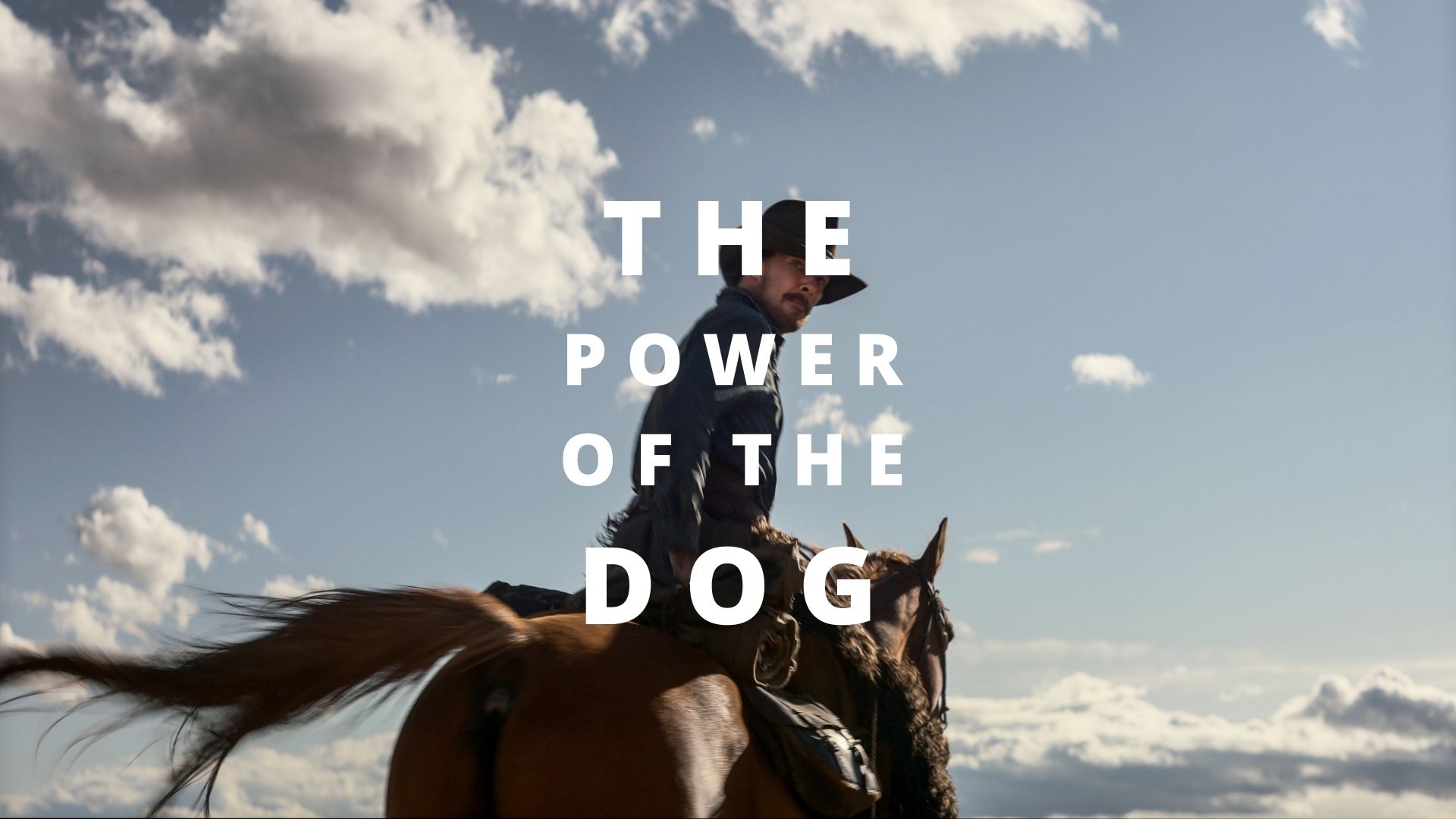 Power of The Dog Review